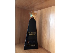 2017年度誠新二手車五星經銷商