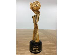 2017年度天泓楚漢史飛-上汽通用金融最佳總經理 